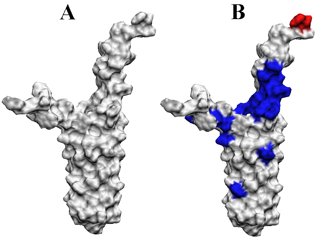File:Protocol mapping chemical shift changes to protein structures.png