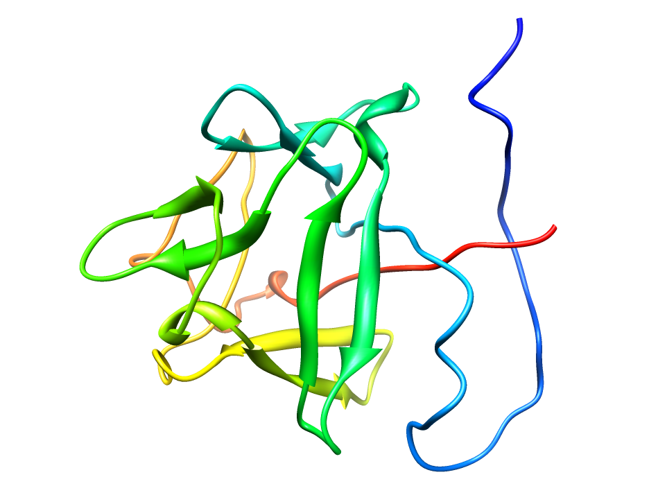 A multicolored Protein called 1bla
